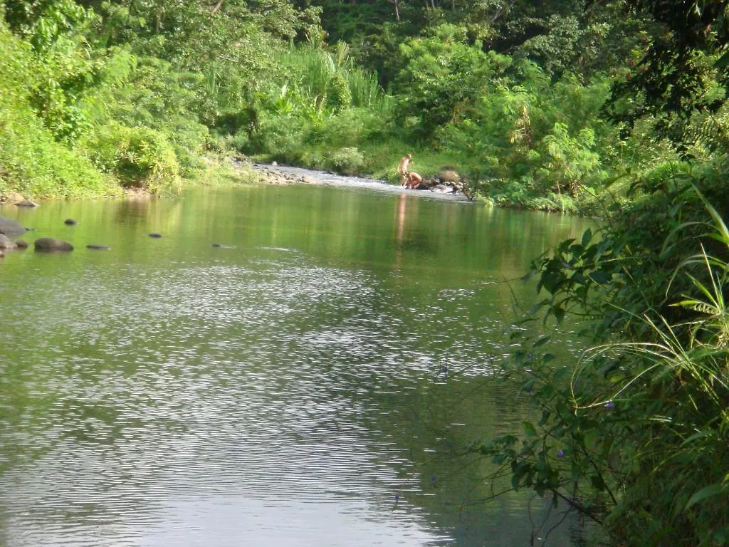 Hibiscus Valley Inn Marigot