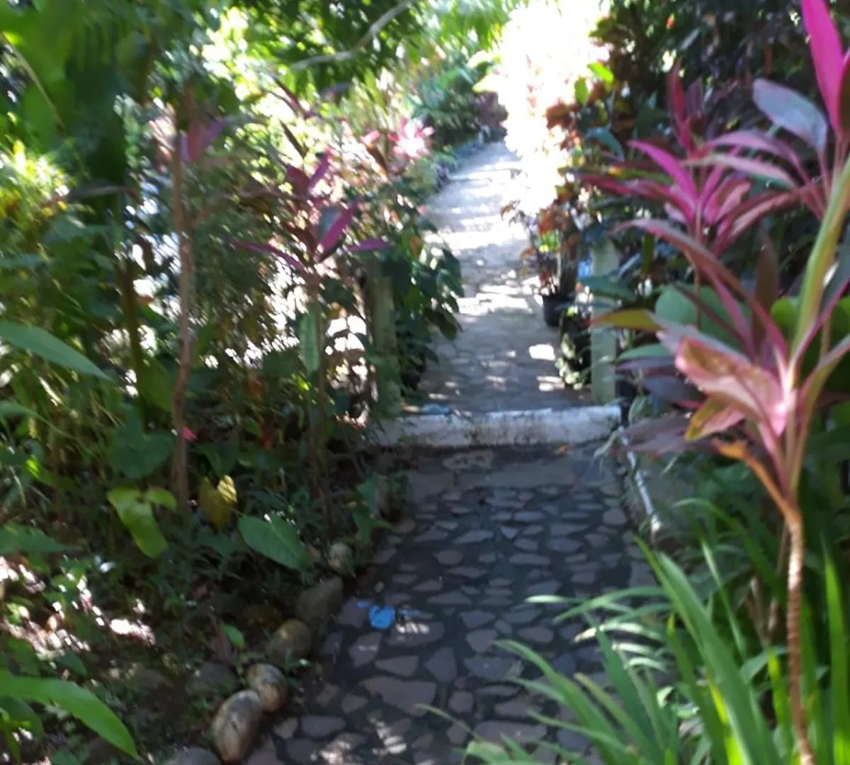 Hibiscus Valley Inn Marigot