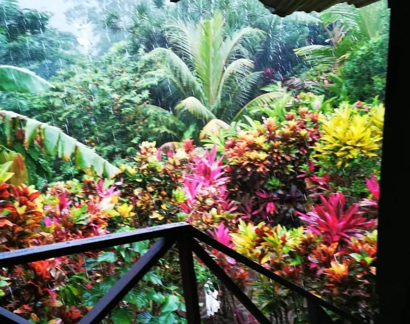 Hibiscus Valley Inn Marigot 3*,  Dominica
