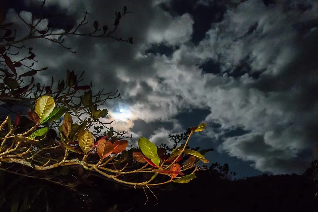 Hibiscus Valley Inn Marigot