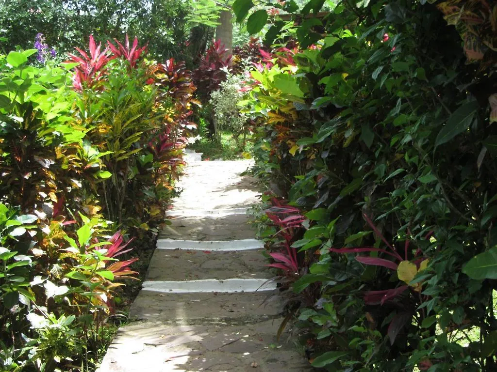 Hibiscus Valley Inn Marigot