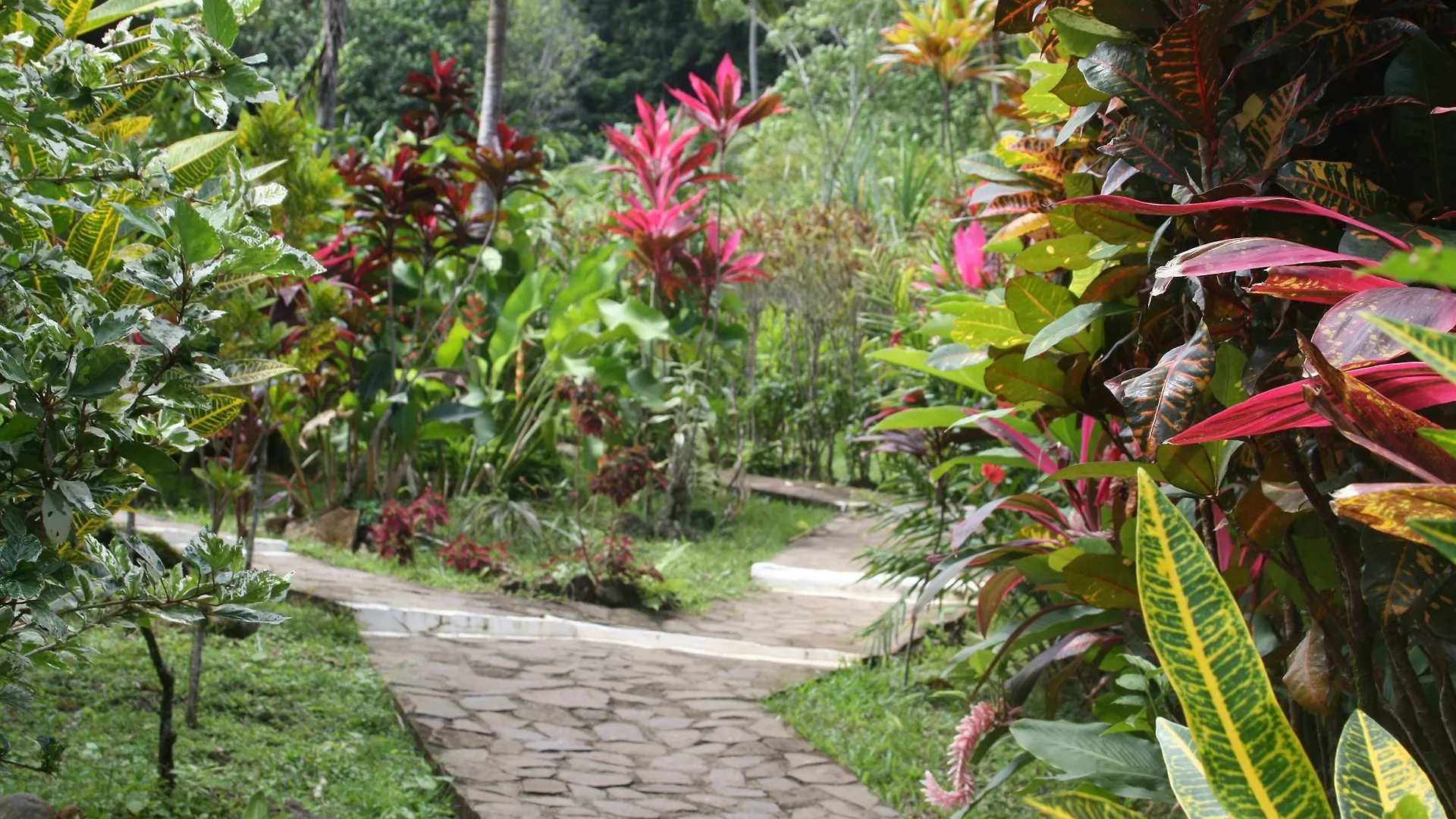 Hibiscus Valley Inn Marigot 3*,