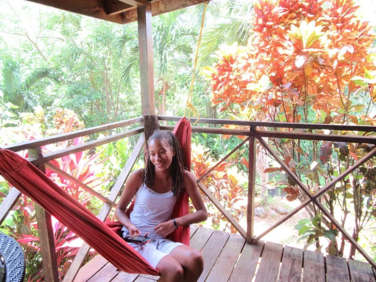 Hibiscus Valley Inn Marigot