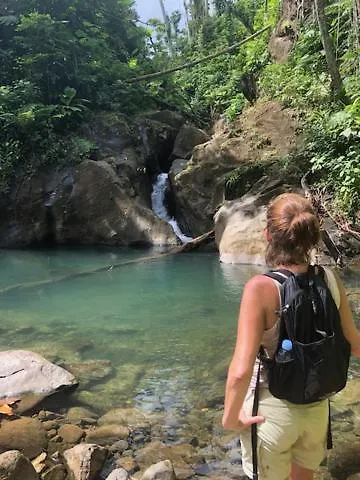 Hibiscus Valley Inn Marigot