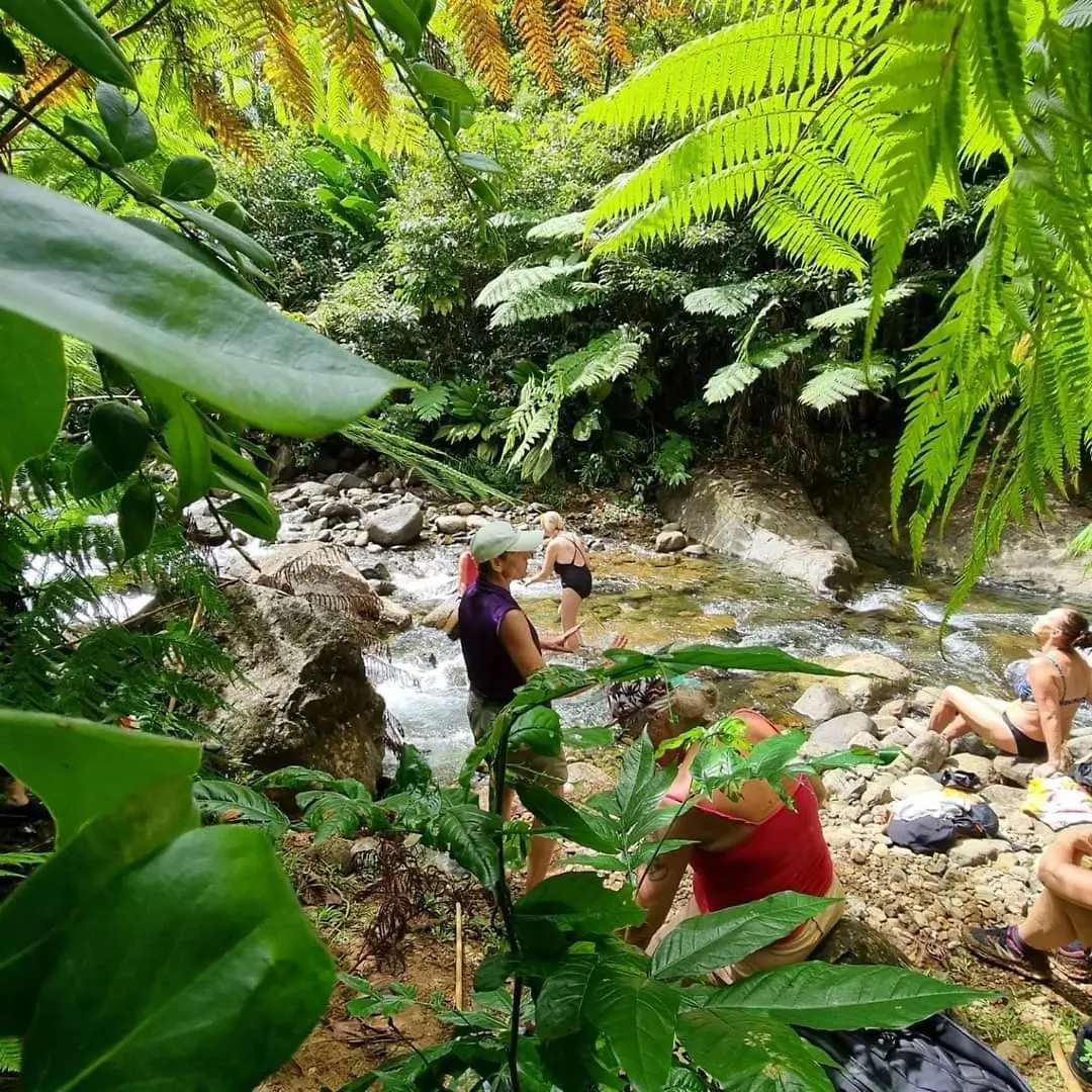 Hibiscus Valley Inn Marigot