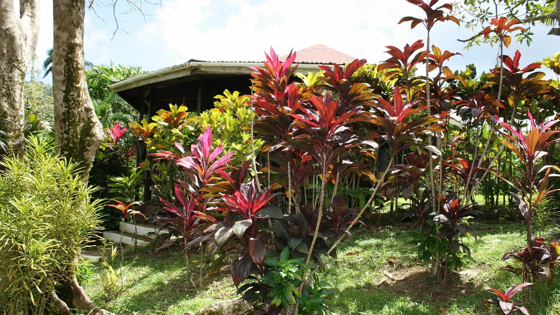 Hibiscus Valley Inn Marigot